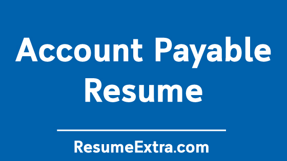 Account Payable Resume Sample