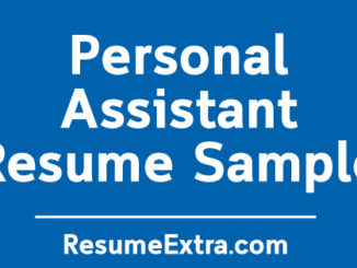 Personal Assistant Resume Sample