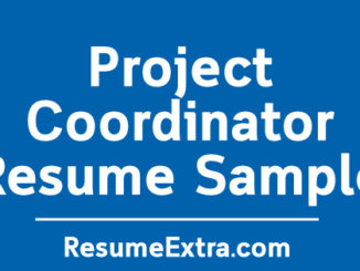 Ideal Project Coordinator Resume Sample