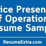 Vice President of Operations Resume Sample