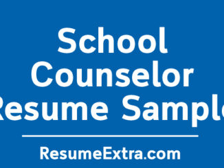 School Counselor Resume Sample