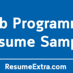 Web Programmer Resume Sample