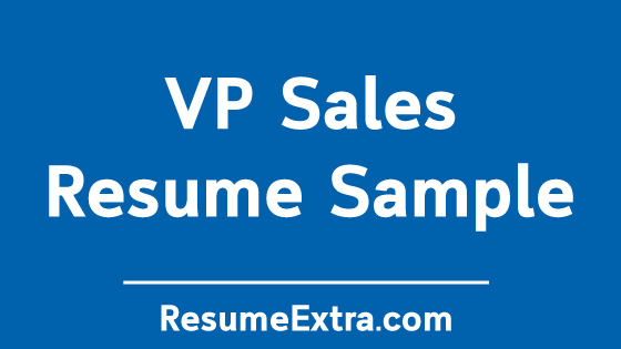 VP Sales Resume Sample