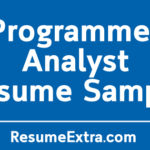 Programmer Analyst Resume Sample