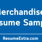 Merchandiser Resume Sample