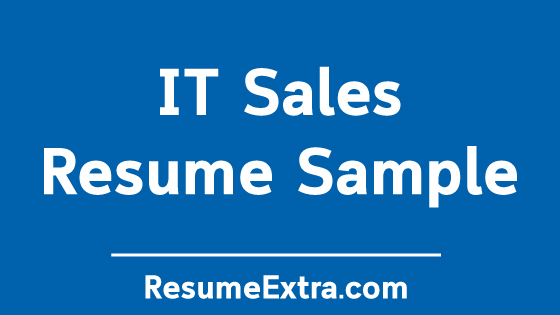 IT Sales Resume Sample